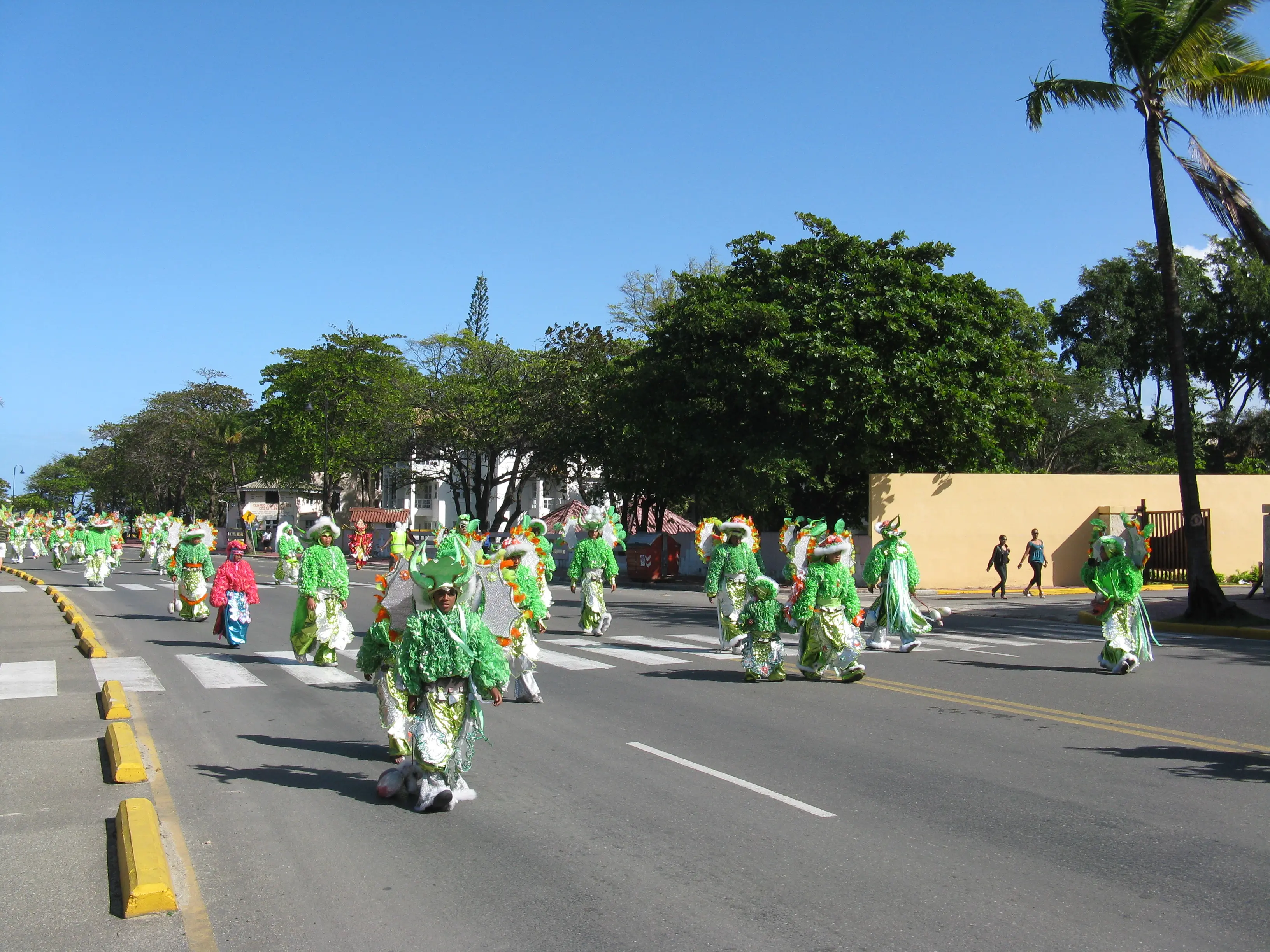 Large troupe of Carnaval performers in matching green costumes marching down a palm-lined boulevard
