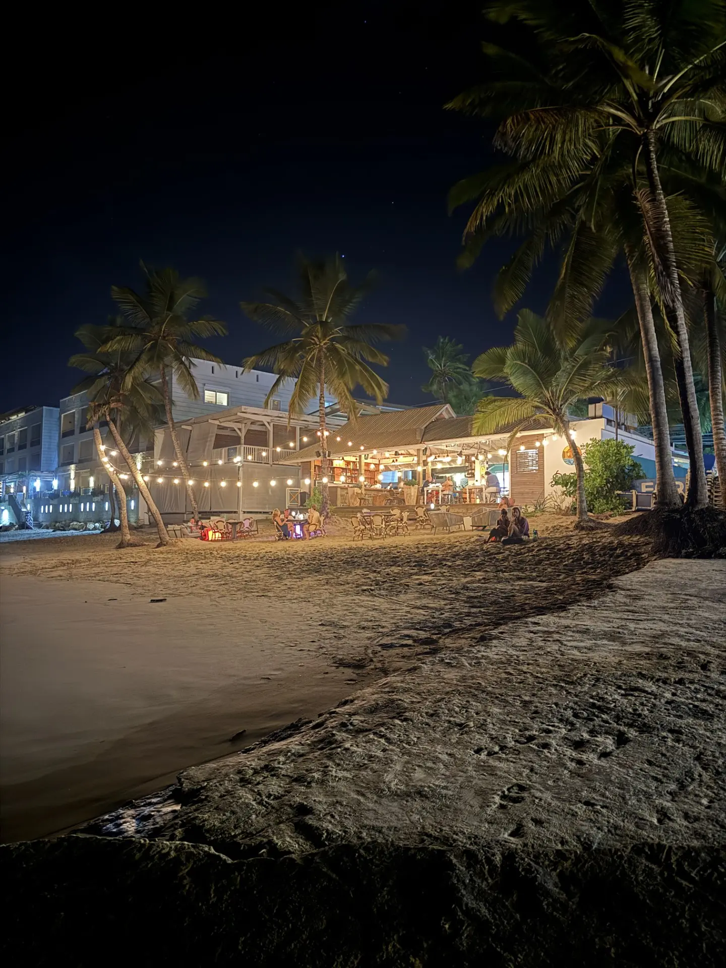 Cabarete beach at night with palm trees and fairy lights