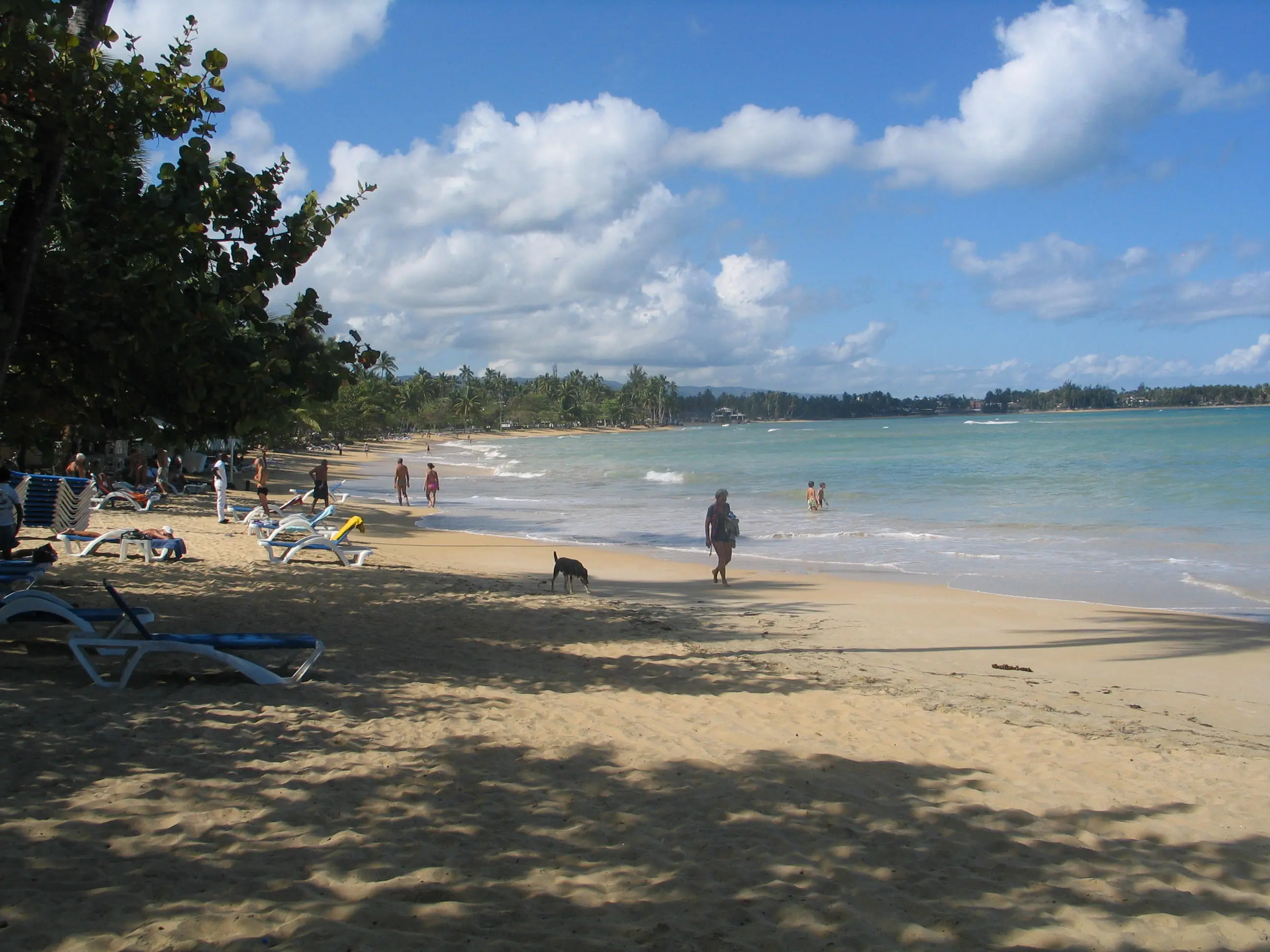 Wide sandy beach at Las Terrenas with palm trees and loungers