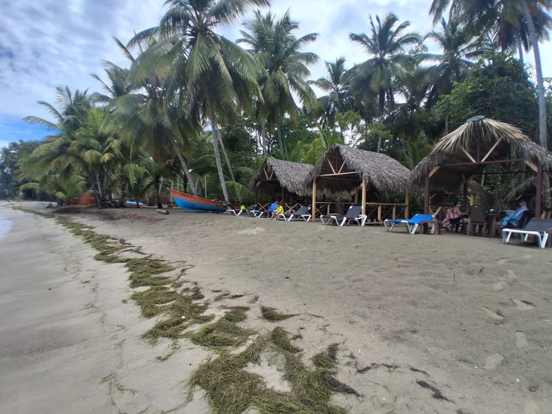 Palm-thatched beach tables at Los Gringos on the bay at Magante