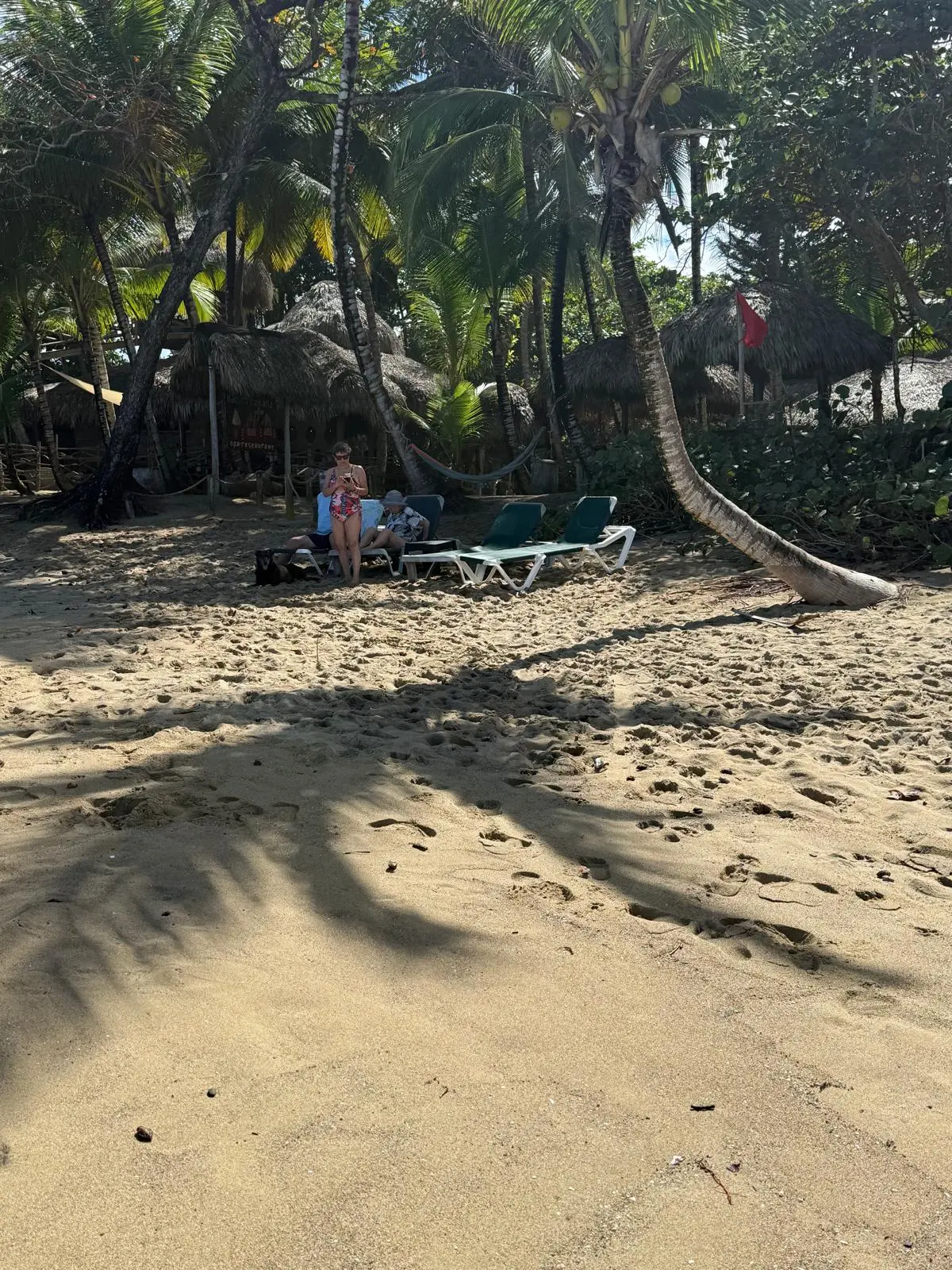 Beach loungers and hammock under palms at Natura Cabana