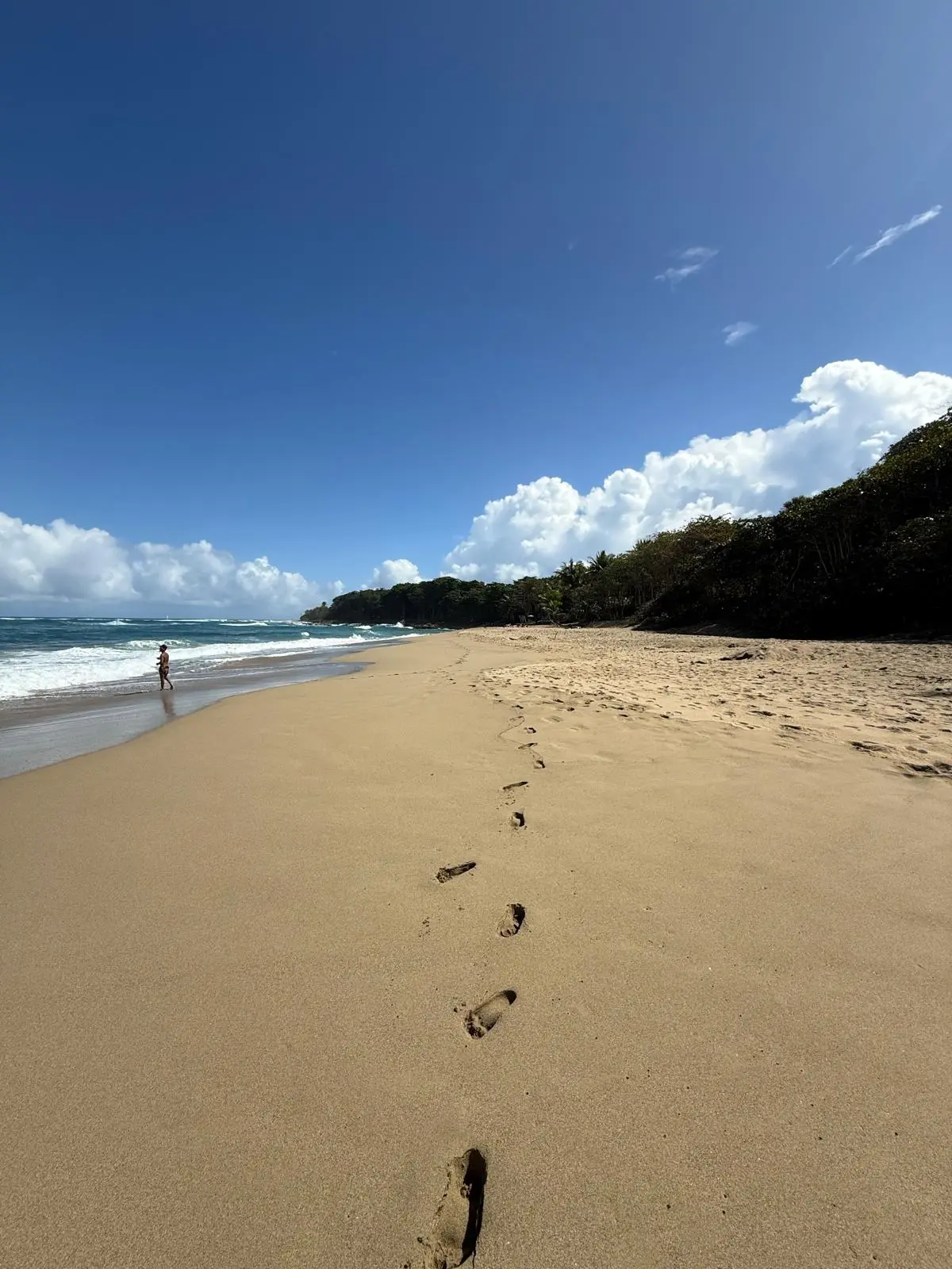 Footprints on Perla Marina beach with lone walker